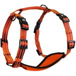 Alcott reflexní postroj pro psy – Zboží Mobilmania