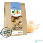 MycoMedica Hericium korálovec ježatý sušený 100 g – Zboží Dáma