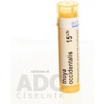 THUYA OCCIDENTALIS POR 15CH GRA 4G – Hledejceny.cz