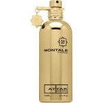 Montale Attar parfémovaná voda unisex 100 ml – Hledejceny.cz