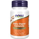 Now Foods Dairy Digest Complete mléčné enzymy 90 kapslí – Hledejceny.cz