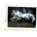 Clementoni Koťátko 39422 1000 dílků – Hledejceny.cz