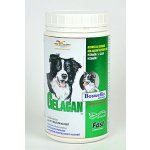 Orling Gelacan Fast 150 g – Hledejceny.cz