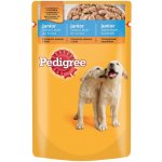 Pedigree Junior s kuřecím masem & rýží 100 g – Hledejceny.cz