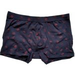 Pierre Cardin boxerky PCZ187 černé – Hledejceny.cz