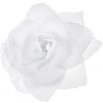 Květy růže bílé - přílepky na auto - 24 ks – Zboží Dáma