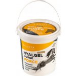 Hyalgel Horse Force Powder 900 g – Hledejceny.cz