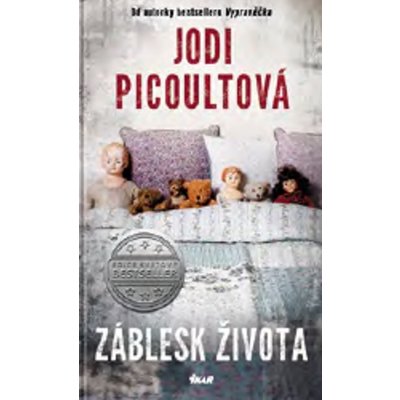 Záblesk života - Jodi Picoult, Vázaná