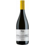 Sutto POLJE Friulano DOC Collio 2021 13% 0,75 l (holá láhev) – Hledejceny.cz