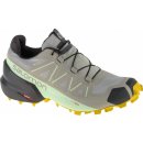 Salomon Speedcross 5 GTX W L41612800 wrought iron/spray/antique moss