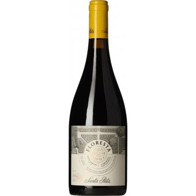 Santa Rita Floresta Cabernet Sauvignon 2021 Červené 14% 0,75 l (holá láhev) – Hledejceny.cz