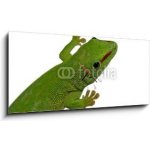 Obraz s hodinami 1D panorama - 120 x 50 cm - lezard vert lizard drn reptile – Hledejceny.cz
