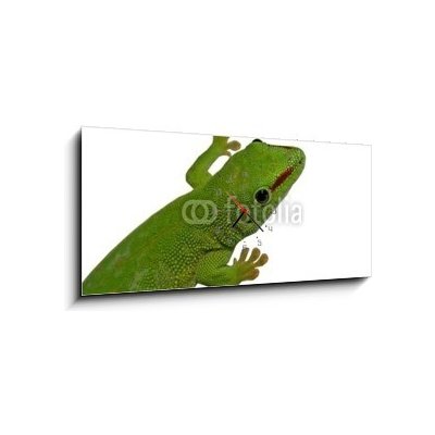 Obraz s hodinami 1D panorama - 120 x 50 cm - lezard vert lizard drn reptile – Hledejceny.cz