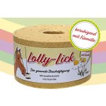 S.I.N. Hellas Lízátko pro koně Lolly Lick Máta a eukalyptus 0,75 kg – Zboží Mobilmania