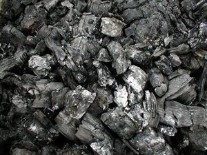 Deblice Dřevěné uhlí 2,5 Kg
