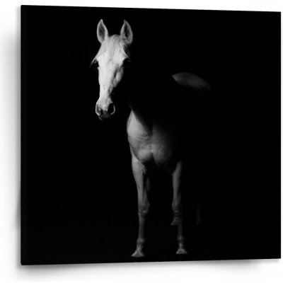 Sablio Obraz Kůň ve stínu - 110x110 cm – Hledejceny.cz