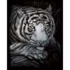 Škrábací  obrázek Royal Langnickel Stříbrný vyškrabovací obrázek Tygr