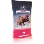 Energys Horse Prémiové krmivo pro koně Granule Baby 25 kg – Zboží Dáma
