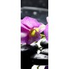 Tapety WEBLUX 32225654 Samolepka na lednici fólie Oriental spa with orchid with and green plant on zen stones Orientální lázně s orchidejem a zelenou rostlinou na zenových kam rozměry 80 x 200 cm