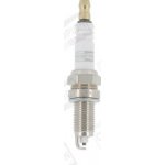 Zapalovací svíčka CHAMPION OE196/T10 – Zboží Mobilmania