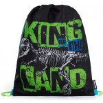 Karton P+P Premium Dinosaurus – Hledejceny.cz