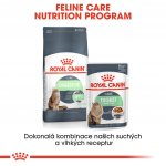 Royal Canin Digestive Care 10 kg – Hledejceny.cz