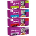 Whiskas Adult kapsičky 160 x 85 g – Hledejceny.cz