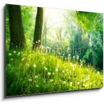 Skleněný obraz 1D - 100 x 70 cm - Spring Nature. Beautiful Landscape. Green Grass and Trees Jarní příroda. Krásná krajina. Zelená tráva a stromy – Hledejceny.cz