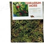 Zoo Med vystýlka terarijní mechová 68-91l – Zboží Dáma Zoo Med vystýlka terarijní mechová 68-91l – Zboží Dáma