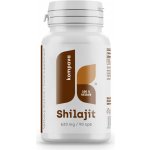 Kompava Shilajit 620 mg, 90 kapslí – Hledejceny.cz