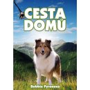 Cesta domů