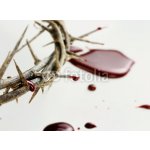 WEBLUX 63092585 Fototapeta papír Drops of Blood Kapky krve rozměry 360 x 266 cm – Hledejceny.cz