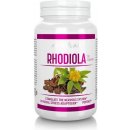 Activlab Rhodiola 60 kapslí