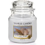 Yankee Candle vonný vosk Autumn Pearl Podzimní perla 22 g – Hledejceny.cz