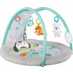 Bright Starts Deka na hraní Polární záře – Sleviste.cz