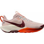 Nike Pegasus Trail 5 dv3865-602 – Zboží Dáma