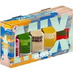 Absolut Five Collection 40% 5 × 0,05 l (karton) – Zboží Dáma