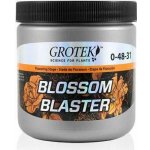 Grotek Blossom Blaster 20 g – Hledejceny.cz