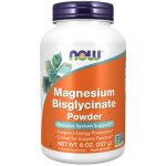 Now Magnesium Bisglycinate hořčík bisglycinát prášek 227 g – Hledejceny.cz