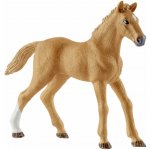 Schleich 42458 ohrada s koníky a fenka Ruby – Zboží Dáma