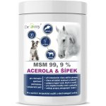 Dromy MSM + Acerola se šípkem 1000 g – Hledejceny.cz