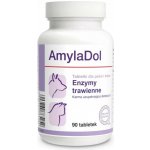 Dolfos AmylaDol 90 tablet – Hledejceny.cz
