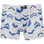 Pleas chlapecké boxerky s potiskem 182843 bílá-modrá – Hledejceny.cz