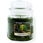 Yankee Candle Autumn Nature Walk 411 g – Sleviste.cz