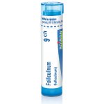 FOLLICULINUM POR 9CH GRA 1X4G – Hledejceny.cz