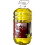 Hyalgel Horse jablko 5 l – Hledejceny.cz