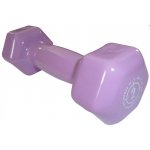 Power System VINYL DUMBELL 2kg – Zboží Dáma