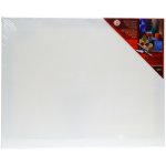 Koh-i-noor Dřevěný rám s plátnem 40 x 50 cm 1430 – Zboží Dáma