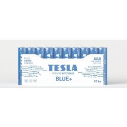 TESLA BLUE+ AAA 10ks 1099137201