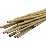 Igotrend Tyč rostlinám Bambus 4,0-4,5 x 210 cm set 3 ks 73826 – Hledejceny.cz